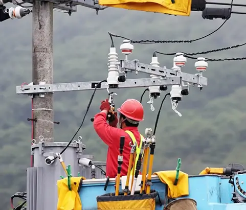 Join forces with Canada’s electrical pioneers to influence policy